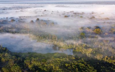 Cómo Madre de Dios se convirtió oficialmente en la Capital de la Biodiversidad del Perú